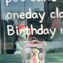 삽량로 | 부산 양산 강아지 케이크 주문 제작! 양산 수제간식 맛집 댕유 방문, 한입케이크 솔직 후기