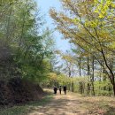 두바퀴쉼터옆 이미지