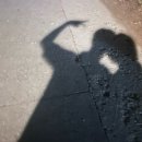 솔숲빌라 이미지