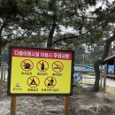 네네치킨백령점 | [백패킹??/백령도]여자 넷이 1일 1냉면!현지인 추천 맛집