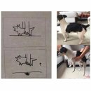 개와고양이 - 사상구 새벽시장로56번가길 4 | 개와고양이