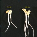 (주)아오스