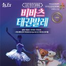 비바츠LED 태권발레 이미지