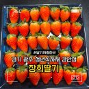 청년식자재마트 | 경기 광주 경안동 청년식자재 장희딸기 내돈내산
