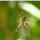 우주 행정사 이미지