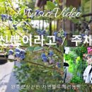 🤍당신뿐이라고 / 가수주채연 뮤직비디오 🤍 완주상관 자연블루베리농원 이미지