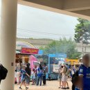 수원에이스합동공인중개사사무소 | 수원삼성블루윙즈 직관후기 (미르스타디움)