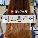 구청 후문 맞은편 | ［ 강남 / 청담 ] 강남구청역 미용실 비오른헤어 | 이너케라틴클리닉