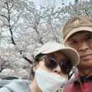 용연사길 이미지