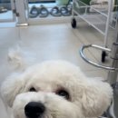 몽끄베르 이미지