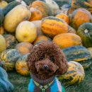 데일리-룩 이미지