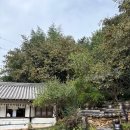 윤스테이 | 구례 쌍산재 후기｜윤스테이 촬영지 한옥 카페, 위치·주차·내부 정리