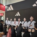 용인대 일등 태권도 네이버블로그