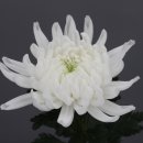 마산기술지원과(마산농업기술센터) 이미지