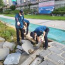 관악-현장-관악-12-10 이미지