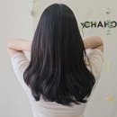 레드존헤어 | 판교 미용실 추천 차홍룸 판교점 손상모발 헤어 단백질 클리닉 후기