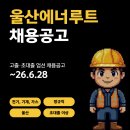 롯데에스케이에너루트(주)