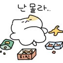 크로스핏블루 이미지