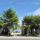 잡고굽고 | 리프 비치프론트 호텔 다낭 후기 미케비치 김치찌개 맛집 굽고