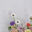 라플랑드 이미지