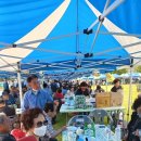 일로초등학교 이미지