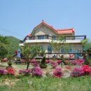 쉬리농장 이미지