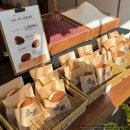 올댓독 | 잠실 송리단길 튀김소보로 디저트 맛집 내돈내산 후기 | 교토소금빵 본점