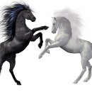 Two Walker 이미지