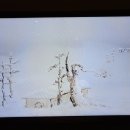 남도의 향기 이미지