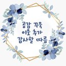 네이버블로그