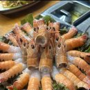 핑크돼지 | 서귀포 표선에서 제대로 즐기는 제주 흑돼지 흑돼지전문점 핑크돼지 후기