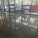 성실기업 이미지