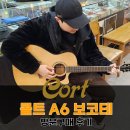 신동아카써비스 | 콜트 올솔리드 어쿠스틱 통기타, A6 보코테 방문구매 후기! - [Cort Gold-A6 BOCOTE]