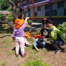 원천초병설유치원 이미지
