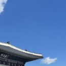 일세정한의원 네이버블로그
