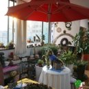 윤금희 | [ 윤금희 플라워 아트스쿨-수강생 후기 및 작품] 진주국비지원 플로리스트 수업