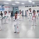 한얼태권도 이미지