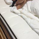 플러스 포켓 | 슬립퍼 컴포트 플러스 포켓스프링 유로탑 매트리스 26cm 사용 후기 편안한 수면을 위한 선택