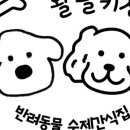 왈왈키친 이미지