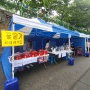 도미솔창의연구소 이미지