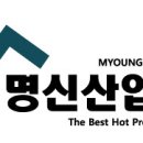 명신 이미지