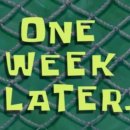 로얄세탁 이미지