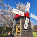 더소풍Ⅱ | [과천 아이랑 가볼만한 곳] 국립과천과학관 야외 나들이 — 30개월 아이와 무료로 즐기는 공룡공원...