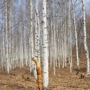 뿌리동물농장 이미지