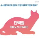 고양이생선
