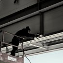 주식회사 에스에프엔 이미지