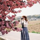 운신초등학교 이미지