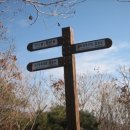 장동리 계곡 이미지