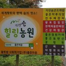 농업회사법인 (주)수농원 이미지