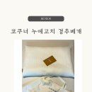 코쿠너 | 코쿠너 누에고치 경추베개 후기 여행 갈 때도 챙기고 싶은 베개